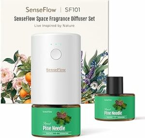 Top 5 des meilleurs diffuseurs d'huiles essentielles – Santé et bien-être – Guide360