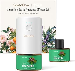Top 5 des meilleurs diffuseurs d'huiles essentielles – Santé et bien-être – Guide360