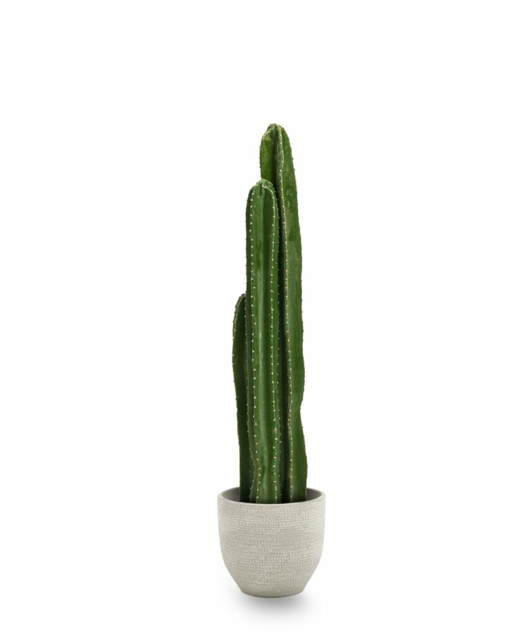 Avis Maia Shop Plantes artificielles décoratives – Maison – Guide360