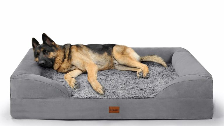 Avis Gimars Panier Chien Grande Taille – Animaux de compagnie – Guide360