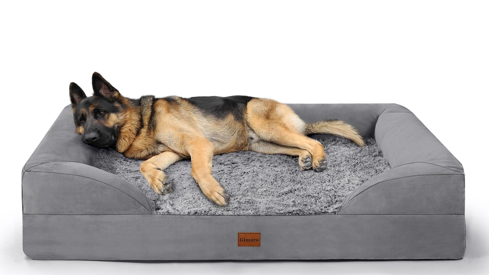 Avis Gimars Panier Chien Grande Taille – Animaux de compagnie – Guide360