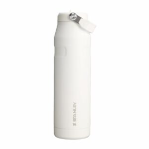 Top 5 des meilleurs tumbler Stanley – Top 5 – Guide360